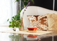 �E�F���J���n�[�u�e�B�[�E�n�[�u�R�[�f�B�A��